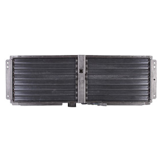 Alzare® - Grille Air Intake