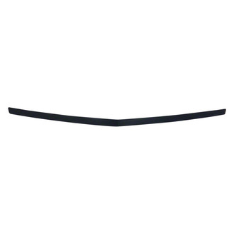 Alzare® - Hood Molding (Standard Line)