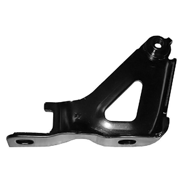 Alzare® - Driver Side Hood Hinge