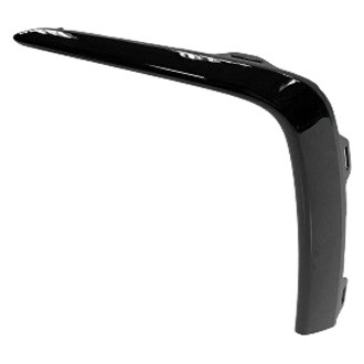 Alzare® - Front Driver Side Bumper Cover Molding (CAPA Certified)