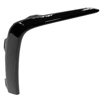 Alzare® - Front Passenger Side Bumper Cover Molding (Standard Line)