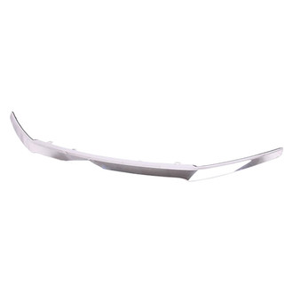 Alzare® - Upper Grille Molding (Standard Line)