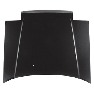 Alzare® - Hood Panel (CAPA Certified)