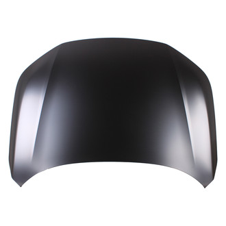 Alzare® - Hood Panel