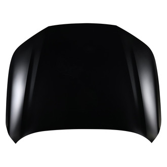 Alzare® - Hood Panel