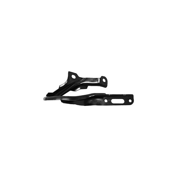 Alzare® - Driver Side Hood Hinge