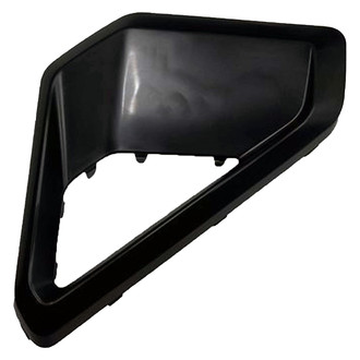 Alzare® - Front Outer Driver Side Bumper Cover Molding (Standard Line)