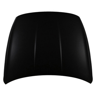 Alzare® - Hood Panel