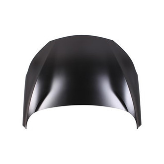 Alzare® - Hood Panel