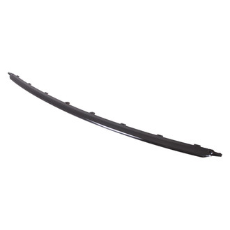 Alzare® - Front Bumper Cover Molding