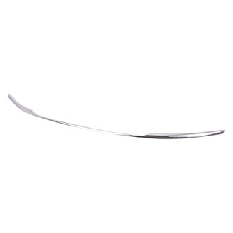 Alzare® - Front Bumper Cover Molding (Standard Line)