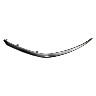 Alzare® - Front Bumper Cover Molding