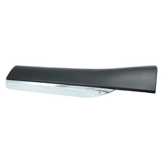 Alzare® - Rear Lower Passenger Side Door Molding (Standard Line)