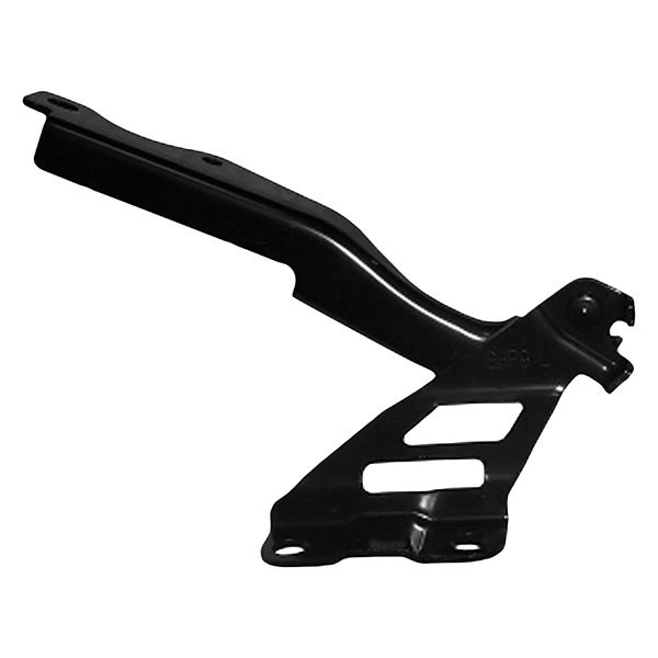 Alzare® - Driver Side Hood Hinge