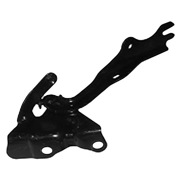 Alzare® - Driver Side Hood Hinge