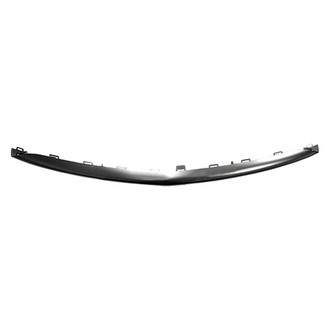 Alzare® - Front Bumper Molding (Standard Line)