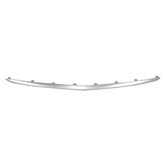 Alzare® - Front Lower Bumper Cover Molding (Standard Line)