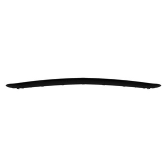 Alzare® - Front Bumper Cover Molding