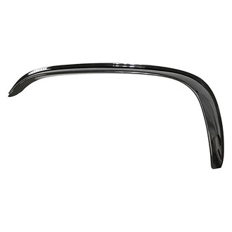 Alzare® - Front Outer Bumper Cover Molding