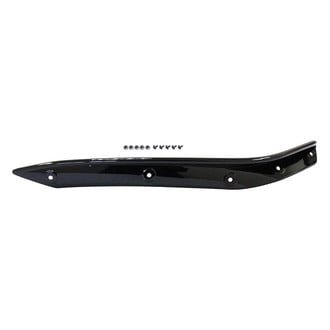 Alzare® - Front Bumper Cover Molding