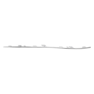 Alzare® - Front Lower Passenger Side Bumper Cover Molding (Standard Line)