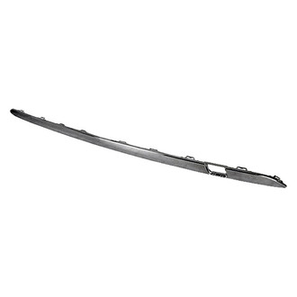 Alzare® - Rear Bumper Cover Molding