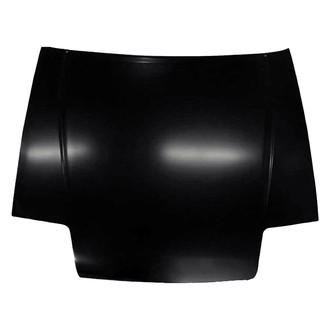 Alzare® - Hood Panel