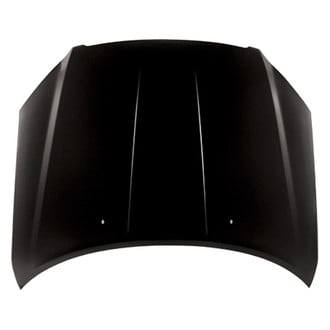 Alzare® - Hood Panel