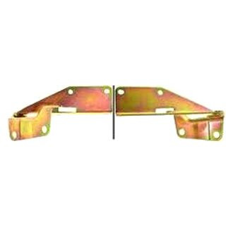 Alzare® - Driver Side Hood Hinge (Standard Line)