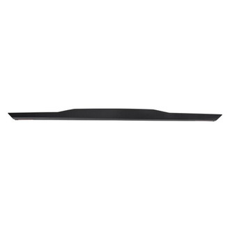 Alzare® - Tailgate Molding (Standard Line)