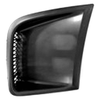 Alzare® - Front Bumper Insert