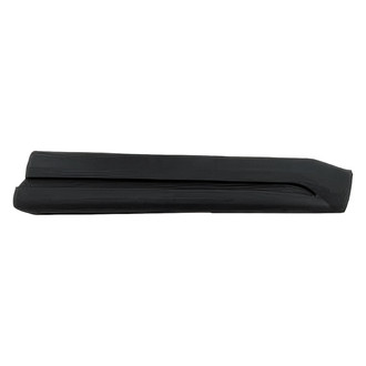 Alzare® - Front Passenger Side Door Molding (Standard Line)