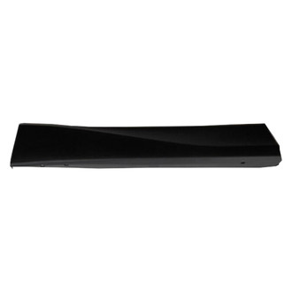 Alzare® - Rear Passenger Side Door Molding (Standard Line)
