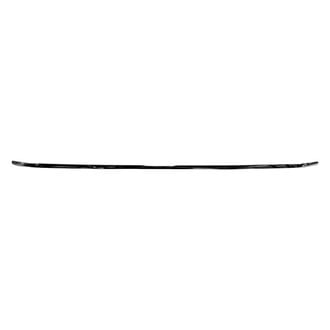 Alzare® - Rear Bumper Cover Molding