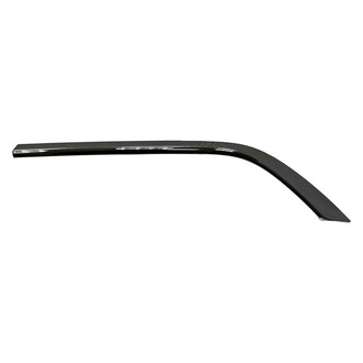 Alzare® - Rear Passenger Side Bumper Cover Molding (Standard Line)
