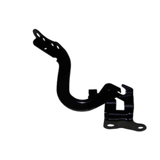Alzare® - Passenger Side Hood Hinge (Standard Line)