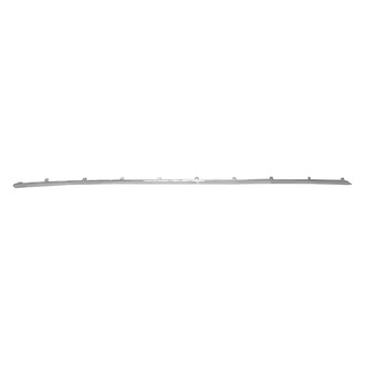 Alzare® - Passenger Side Rocker Panel Molding