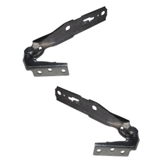 Alzare® - Hood Hinge