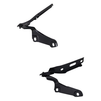 Alzare® - Hood Hinge