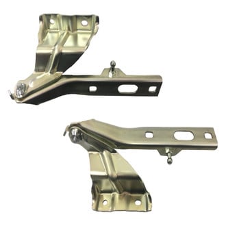 Alzare® - Hood Hinge