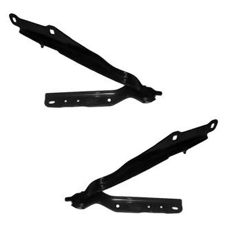 Alzare® - Hood Hinge
