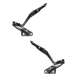 Alzare® - Hood Hinge