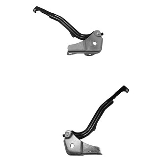 Alzare® - Hood Hinge