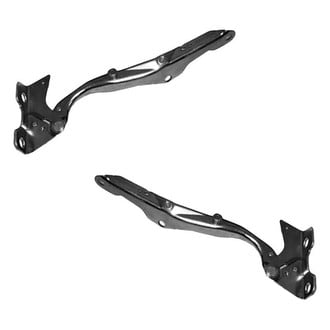 Alzare® - Hood Hinge Set (Standard Line)