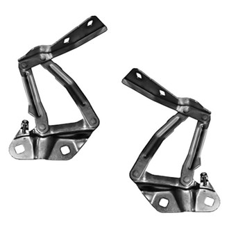 Alzare® - Hood Hinge