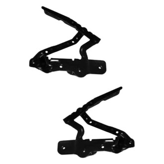 Alzare® - Hood Hinge Set (Standard Line)