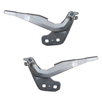 Alzare® - Hood Hinge