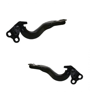 Alzare® - Hood Hinge