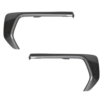 Alzare® - Front Outer Driver and Passenger Side Bumper Cover Molding Set (Standard Line)