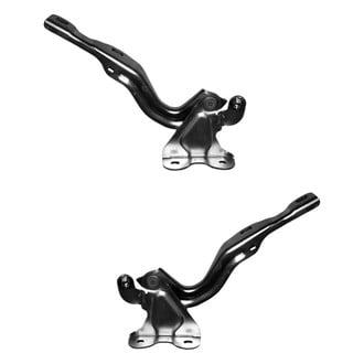 Alzare® - Hood Hinge